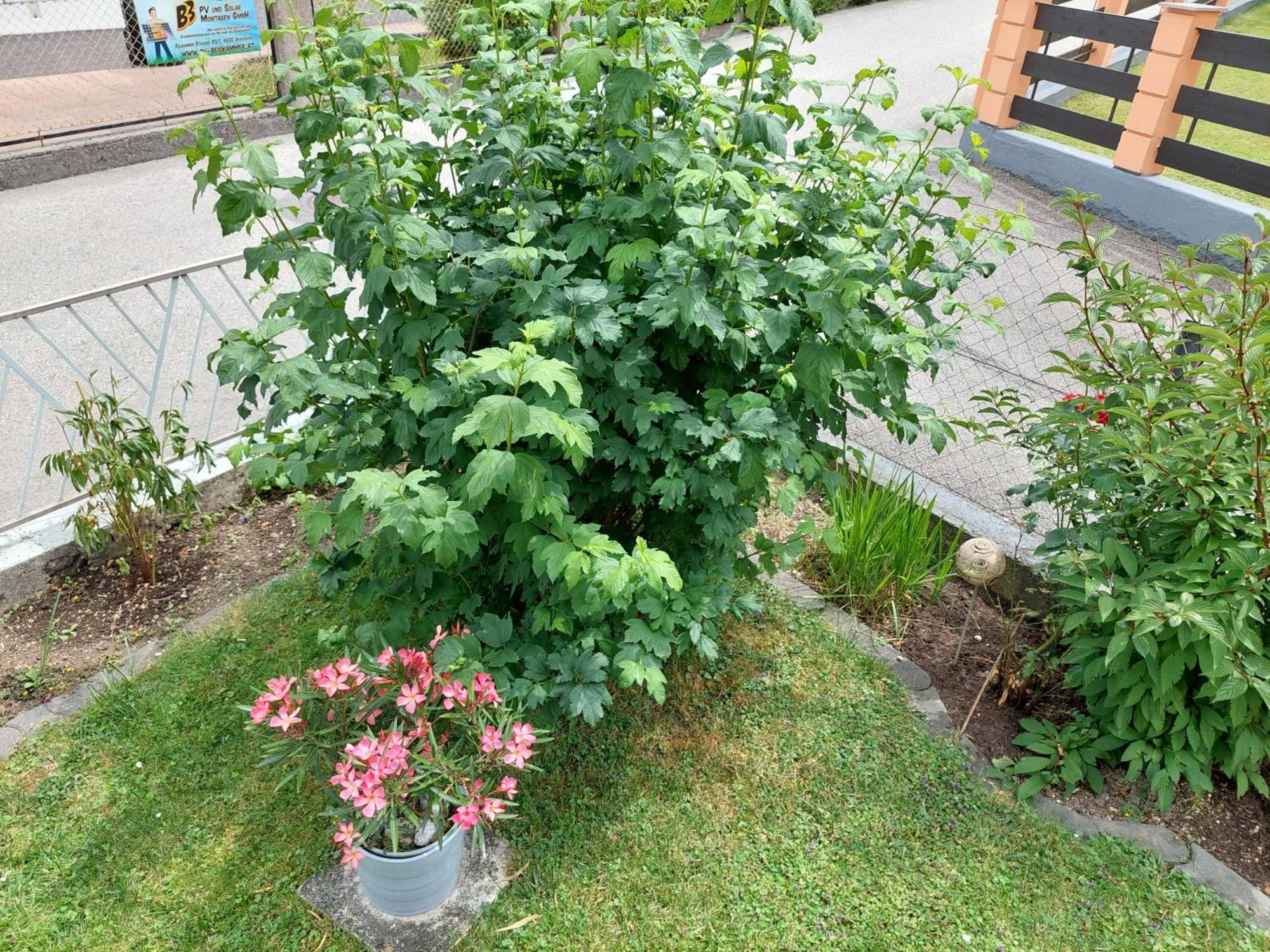 Wohnung Mit Charme In Pinsdorf Exterior foto